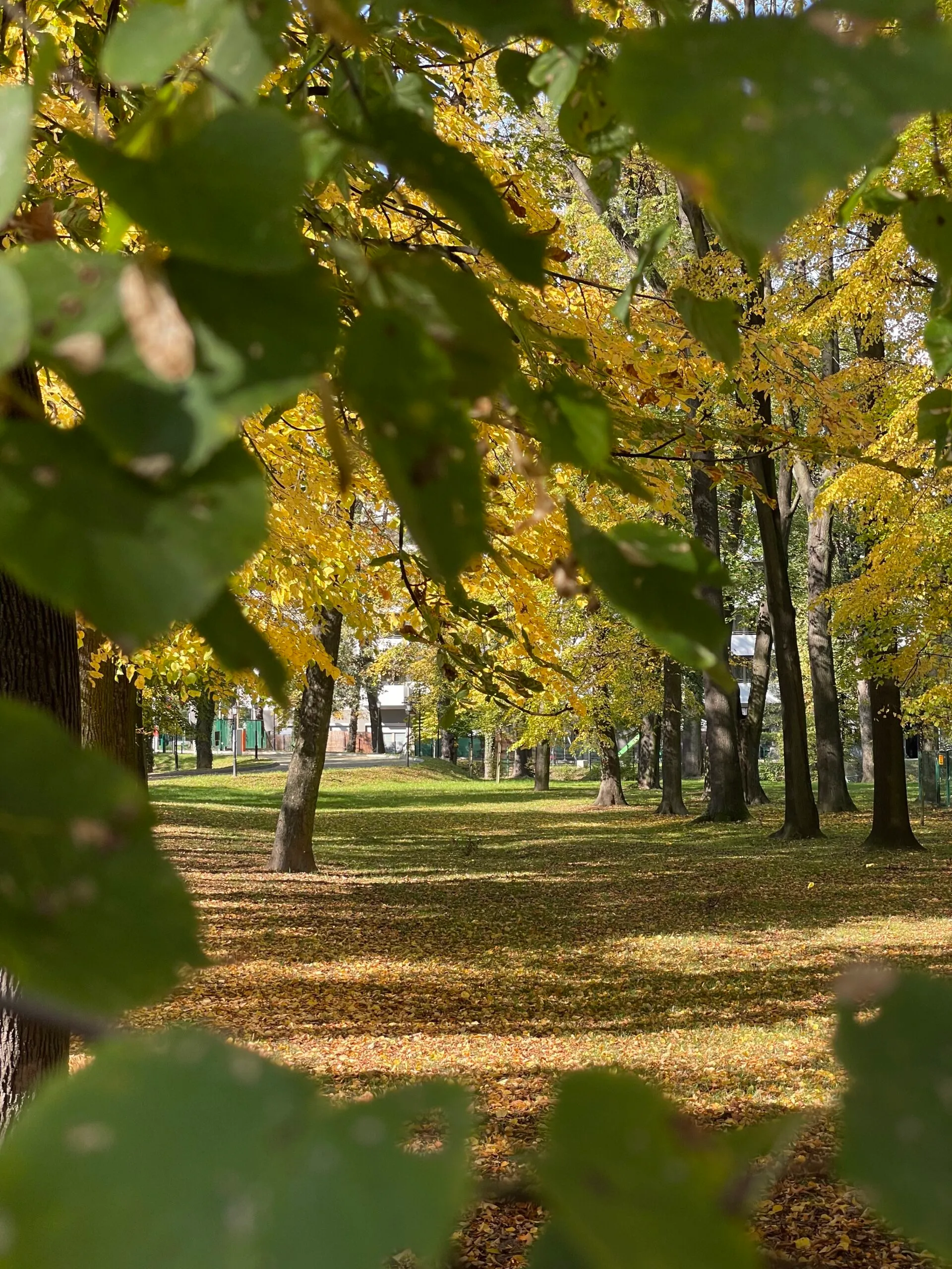 Autumn Weather